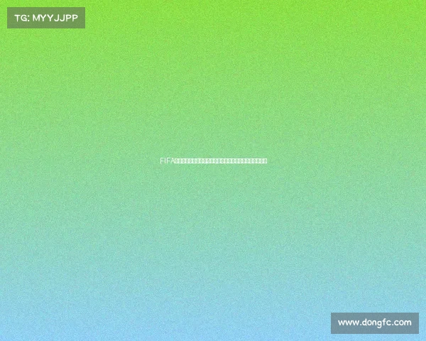 FIFA世界杯锦标赛全球激情盛宴与足球文化传承的辉煌历程篇章